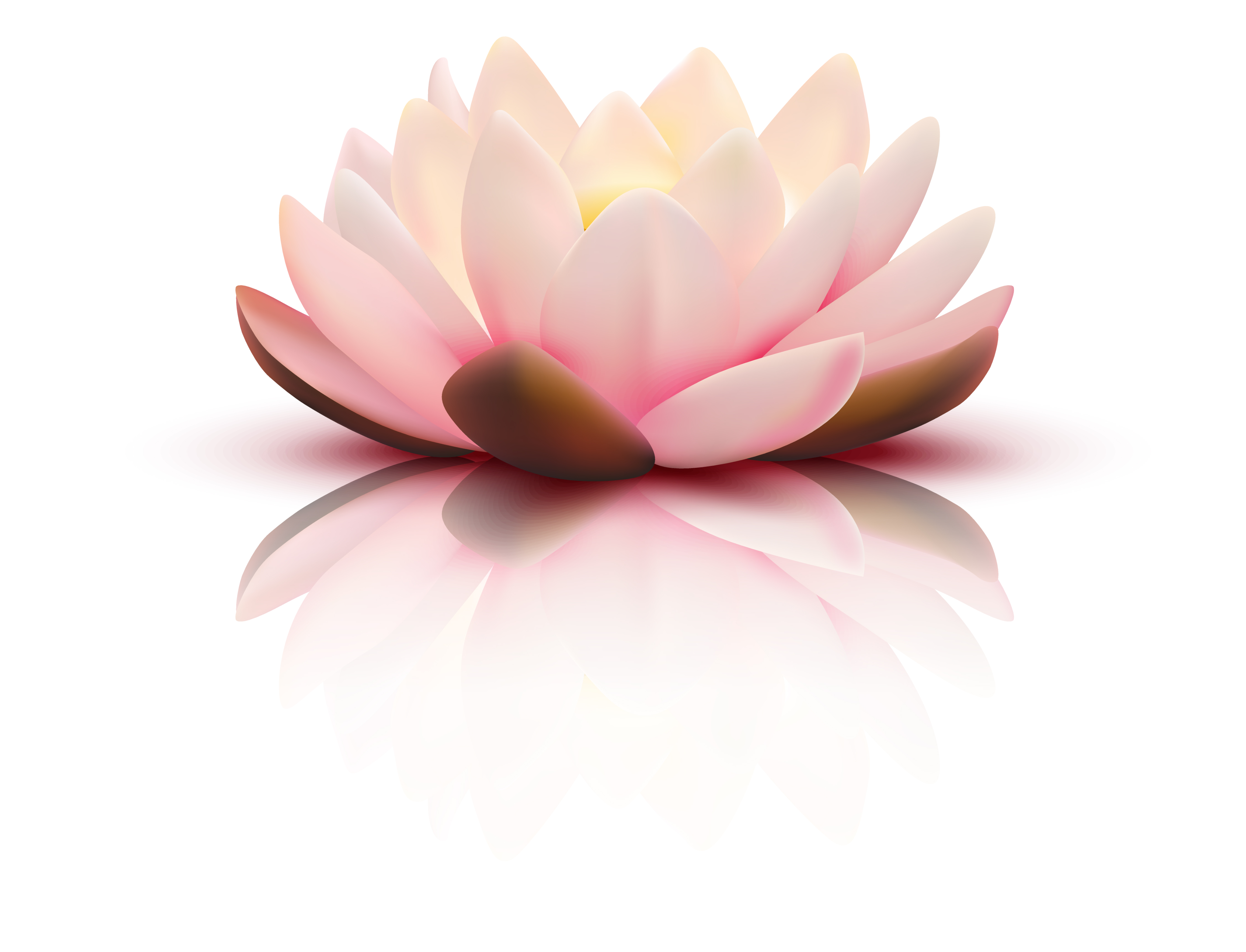 decoratie Bloem